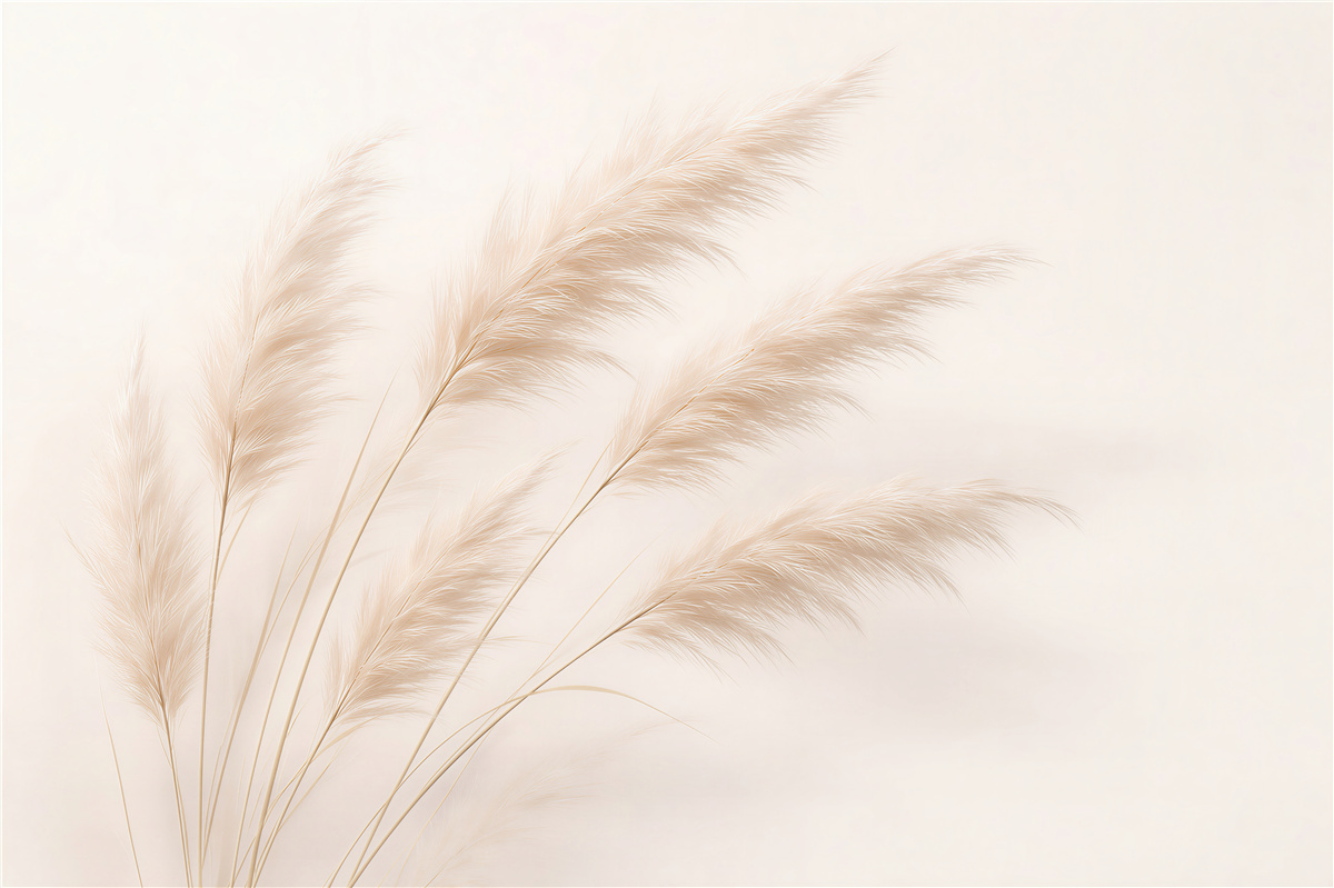 Fototapet Ierburi delicate într-o lejeritate cremoasă
