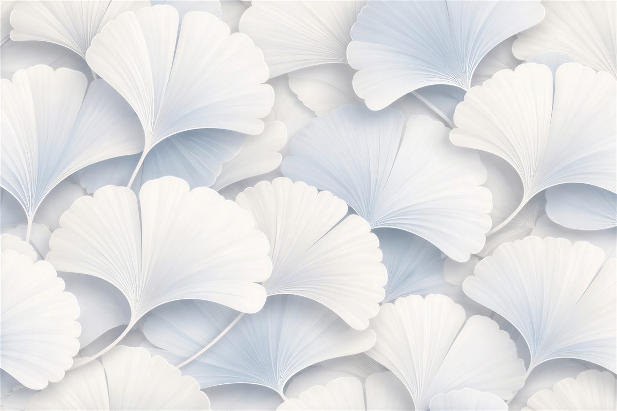 Fototapet Frunze albe de ginkgo 3D