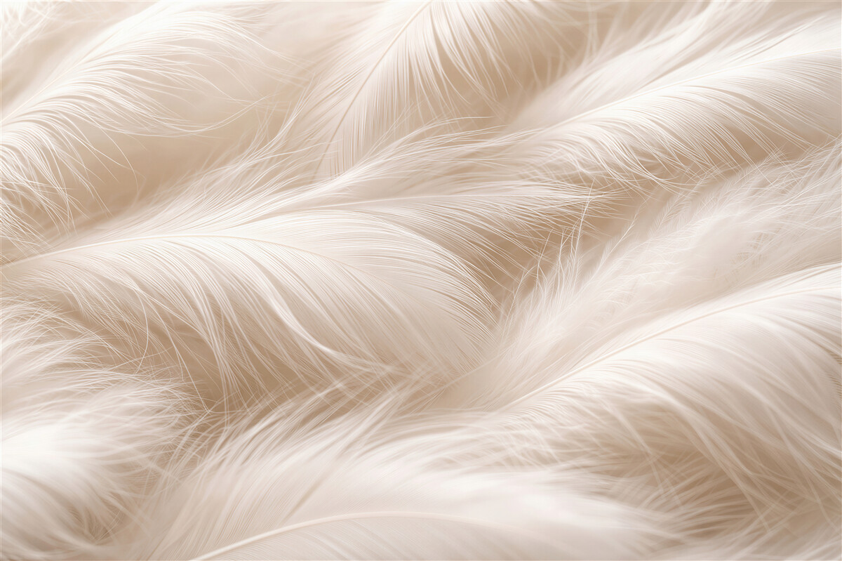 Fototapet Pene bej delicate în prim-plan