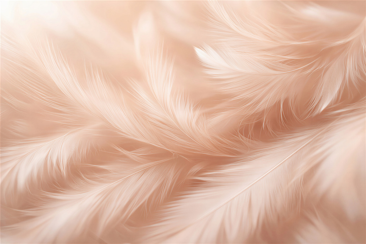Fototapet Pene delicate pudrate