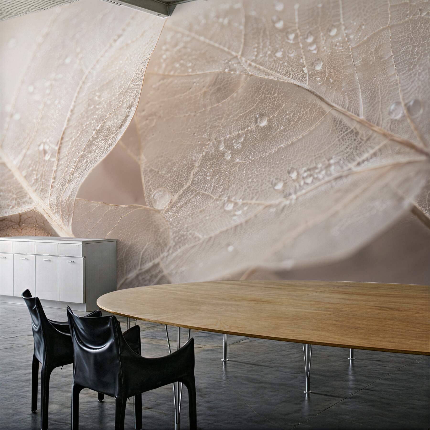 Fototapet Frunze delicate în picături de rouă