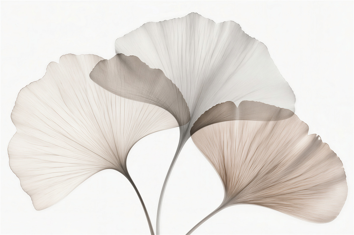 Fototapet Frunze delicate de ginkgo în bej