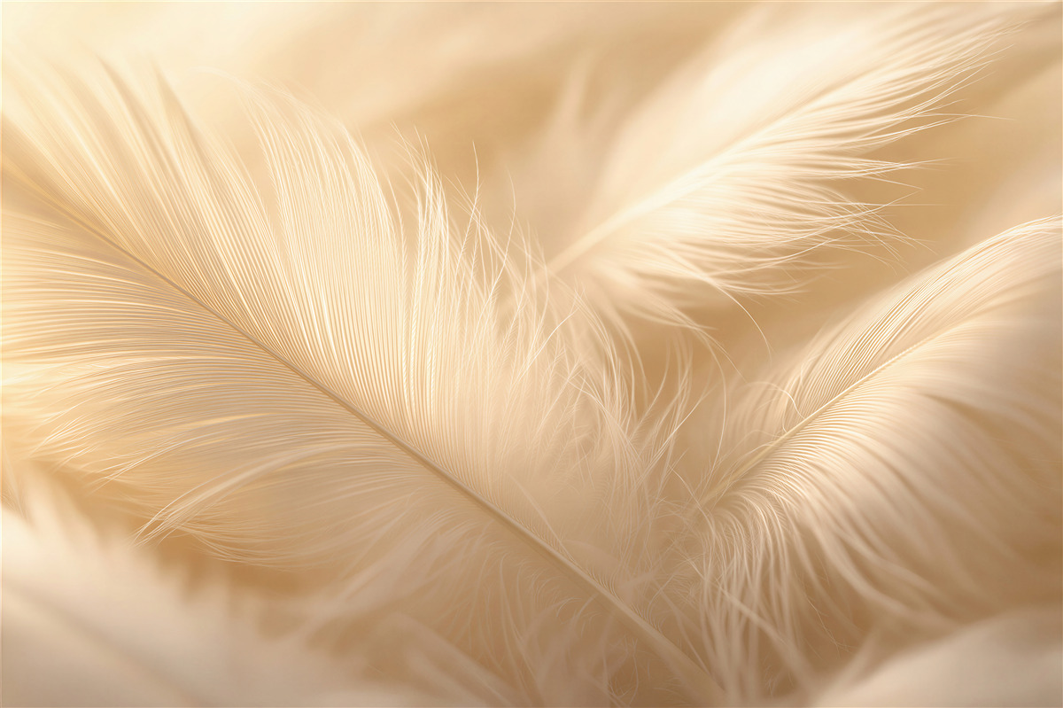 Fototapet Pene aurii delicate