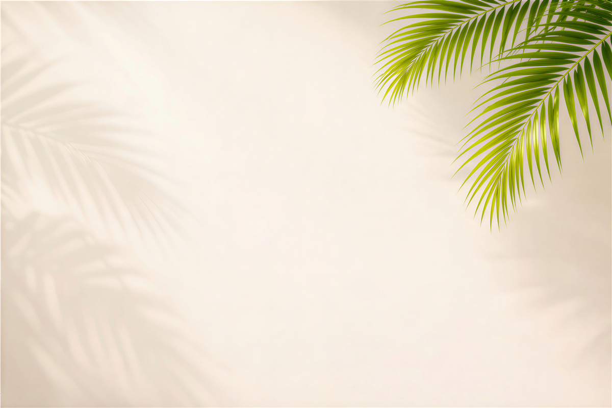 Fototapet Palmier tropical în lumină deschisă