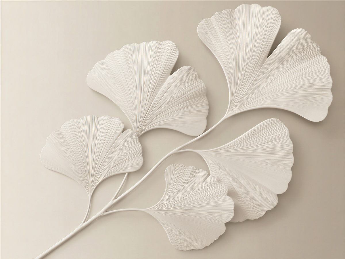 Fototapet Frunze crem de ginkgo în relief