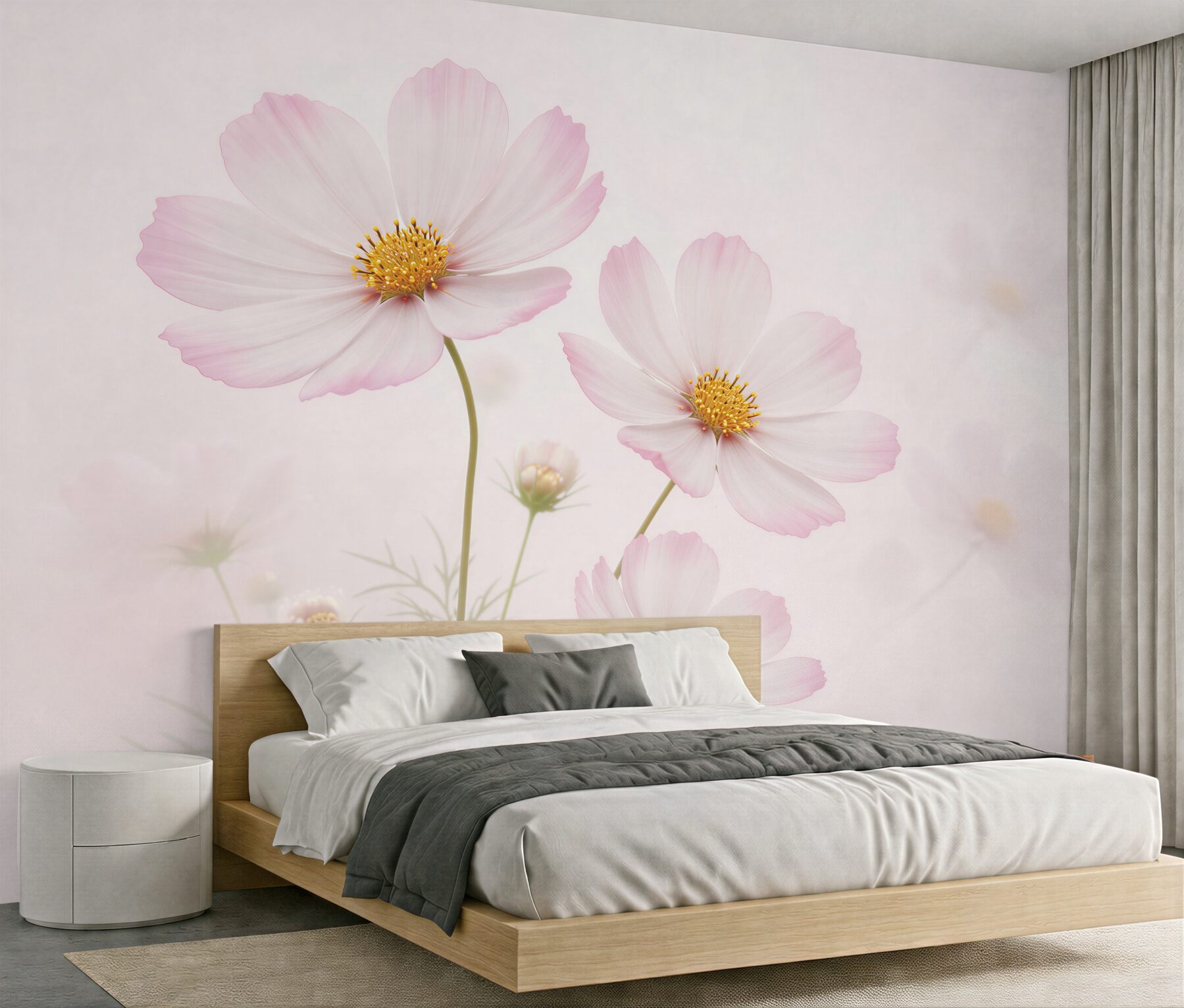Fototapet Cosmos delicat pe fundal deschis