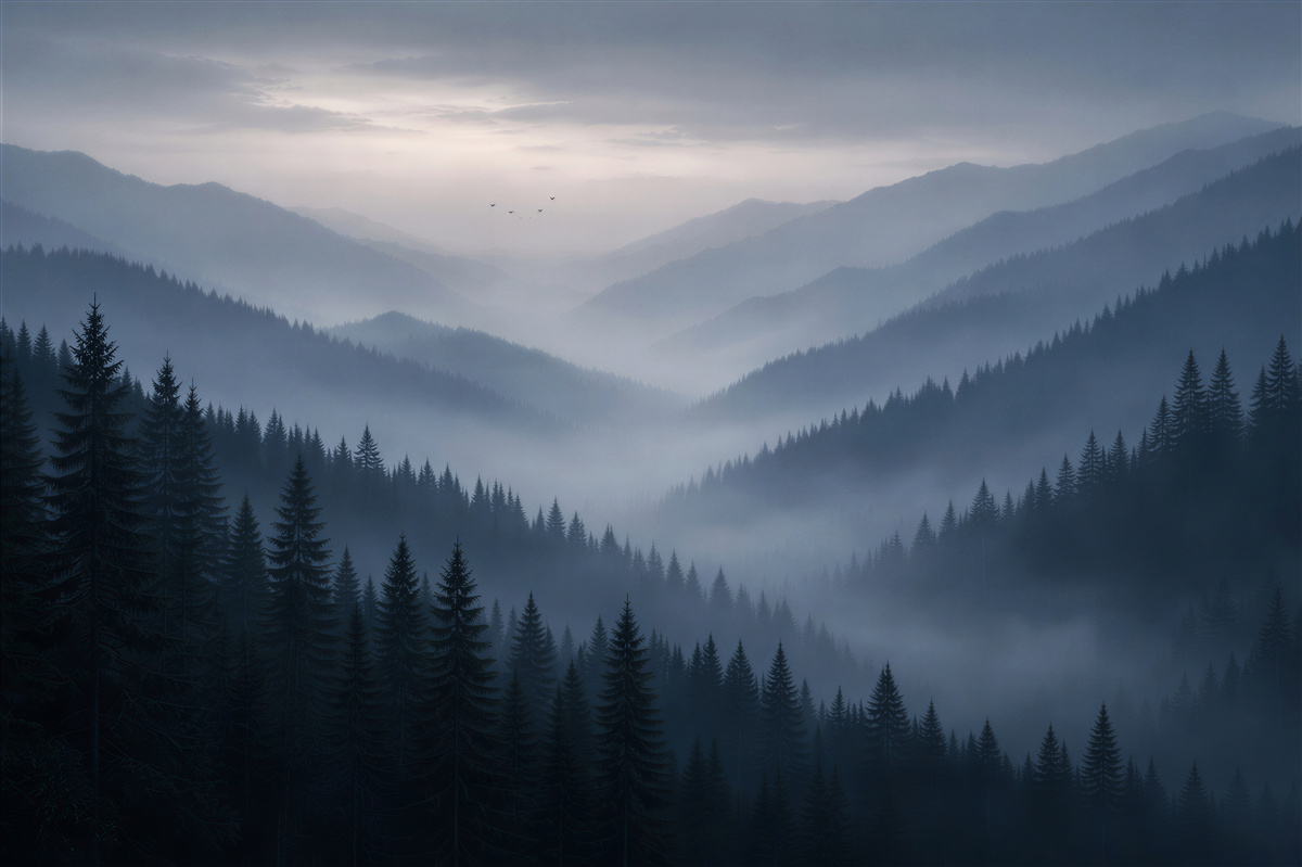 Fototapet zori montani cețoși în pădure