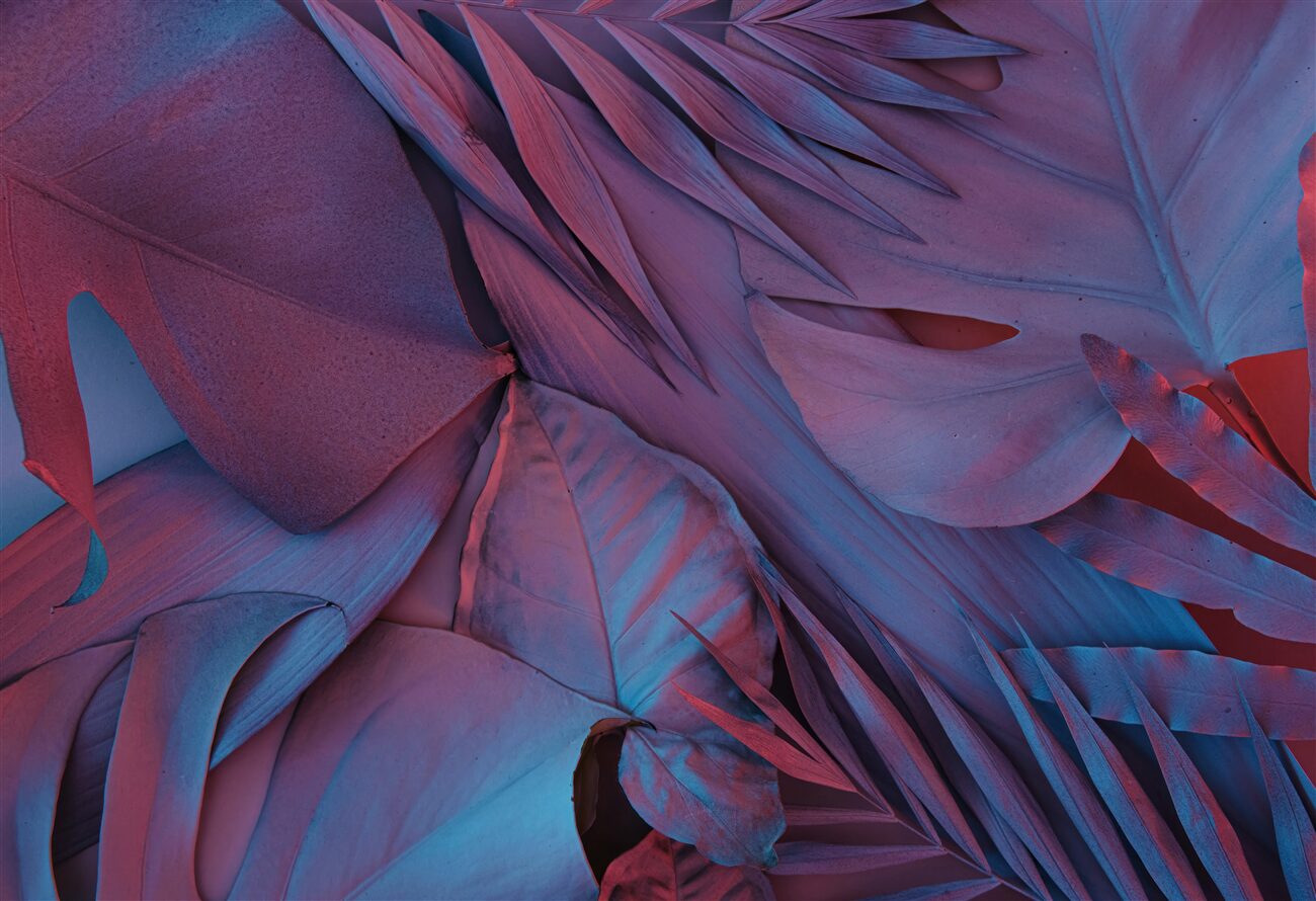 Last Product image