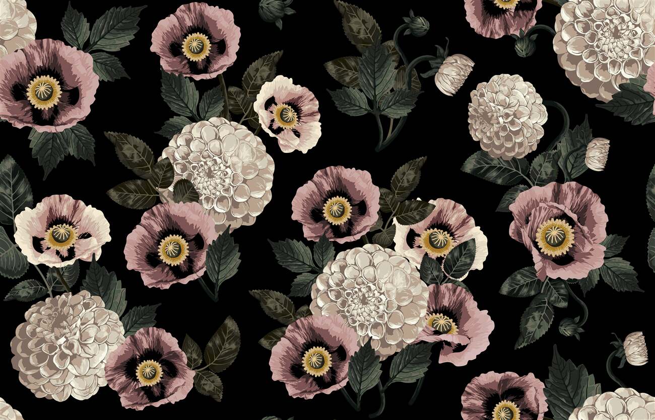 Last Product image