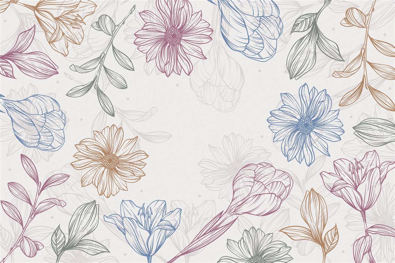 Last Product image
