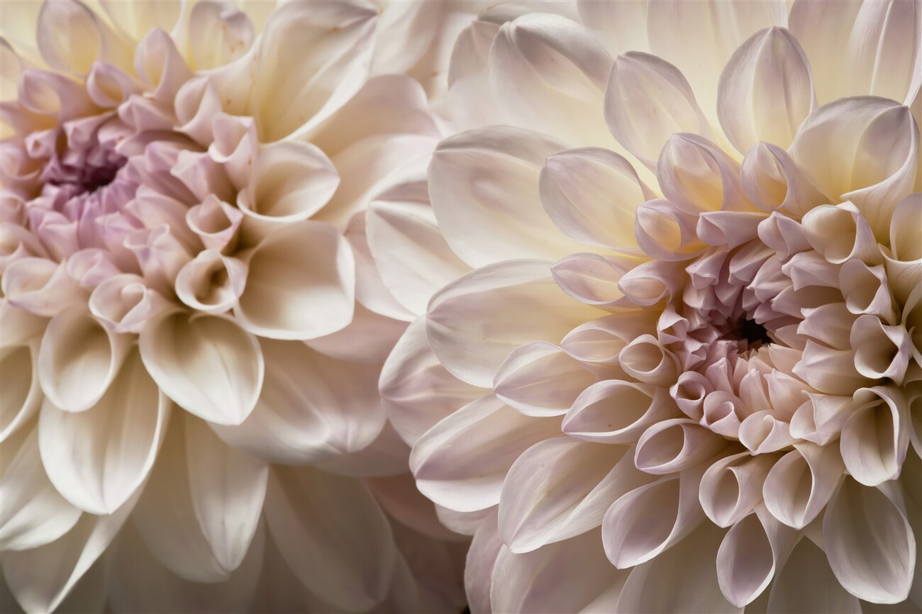 Last Product image