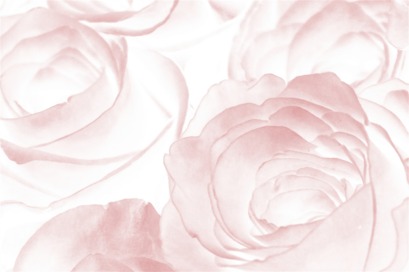 Last Product image