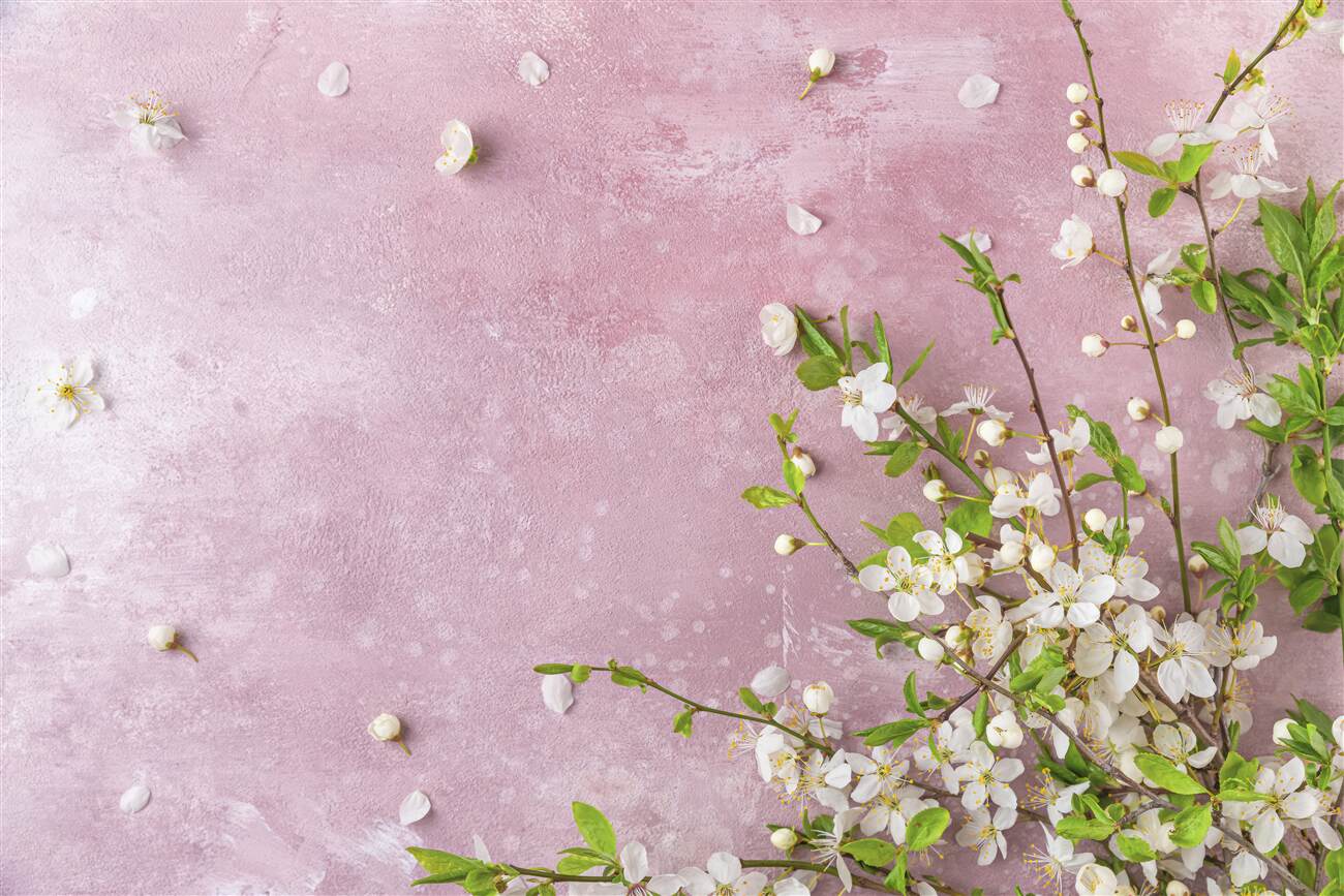 Last Product image