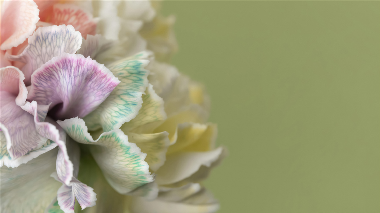 Last Product image